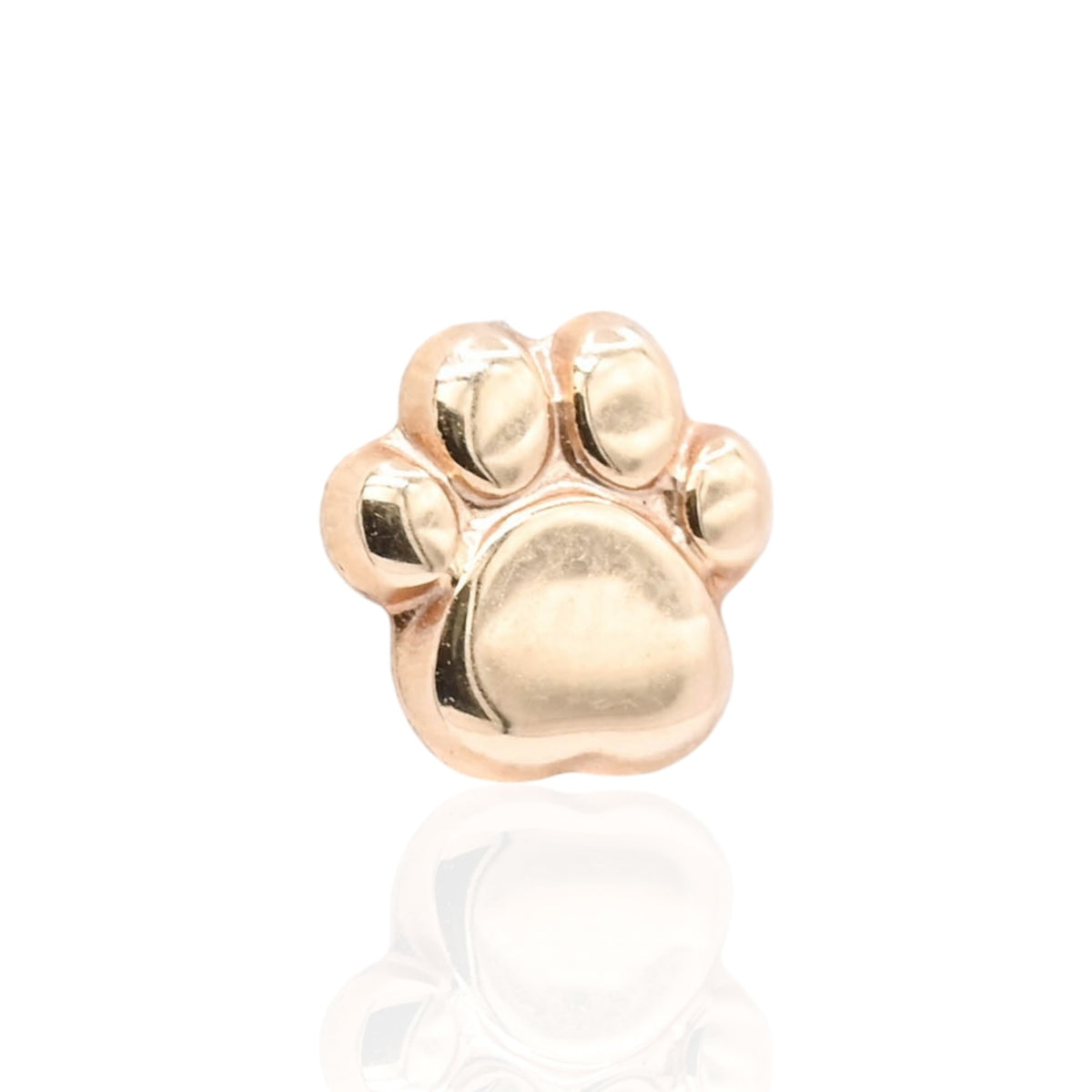Lightweight Paw Print Stud Earrings 14K Yellow Gold