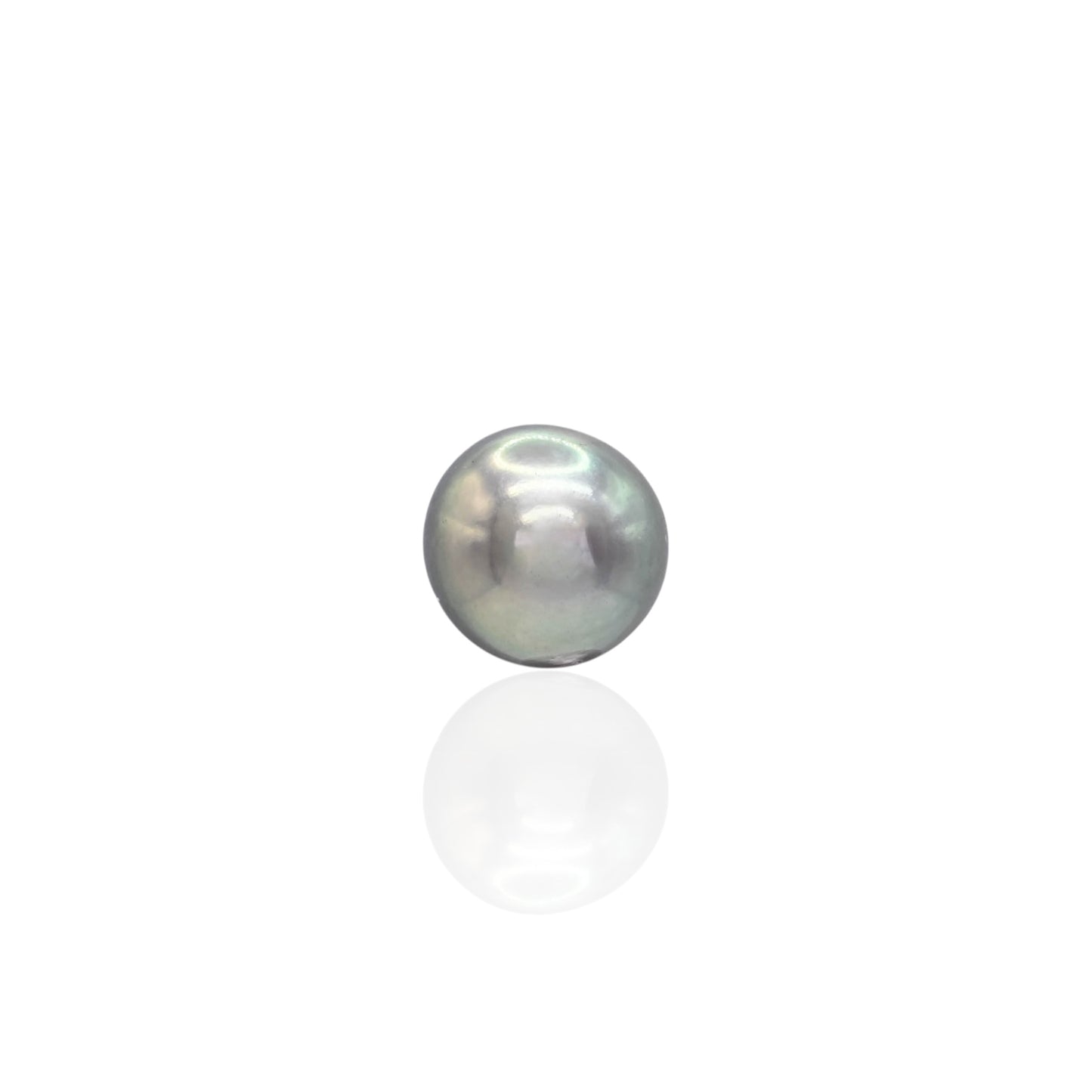 7mm Tahitian Pearl Stud Earrings 14K White Gold with Butterfly Backs