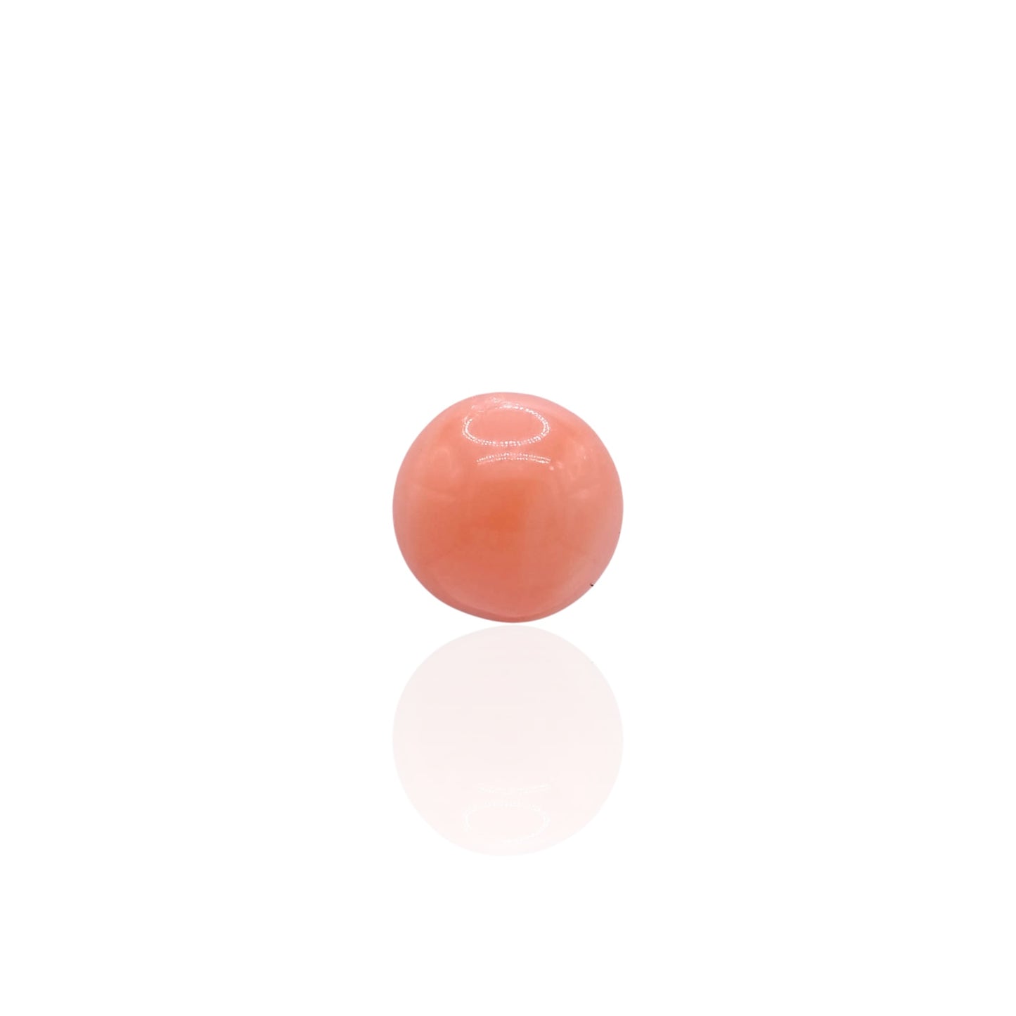 5mm Red Coral Stud Earrings 14K Yellow Gold