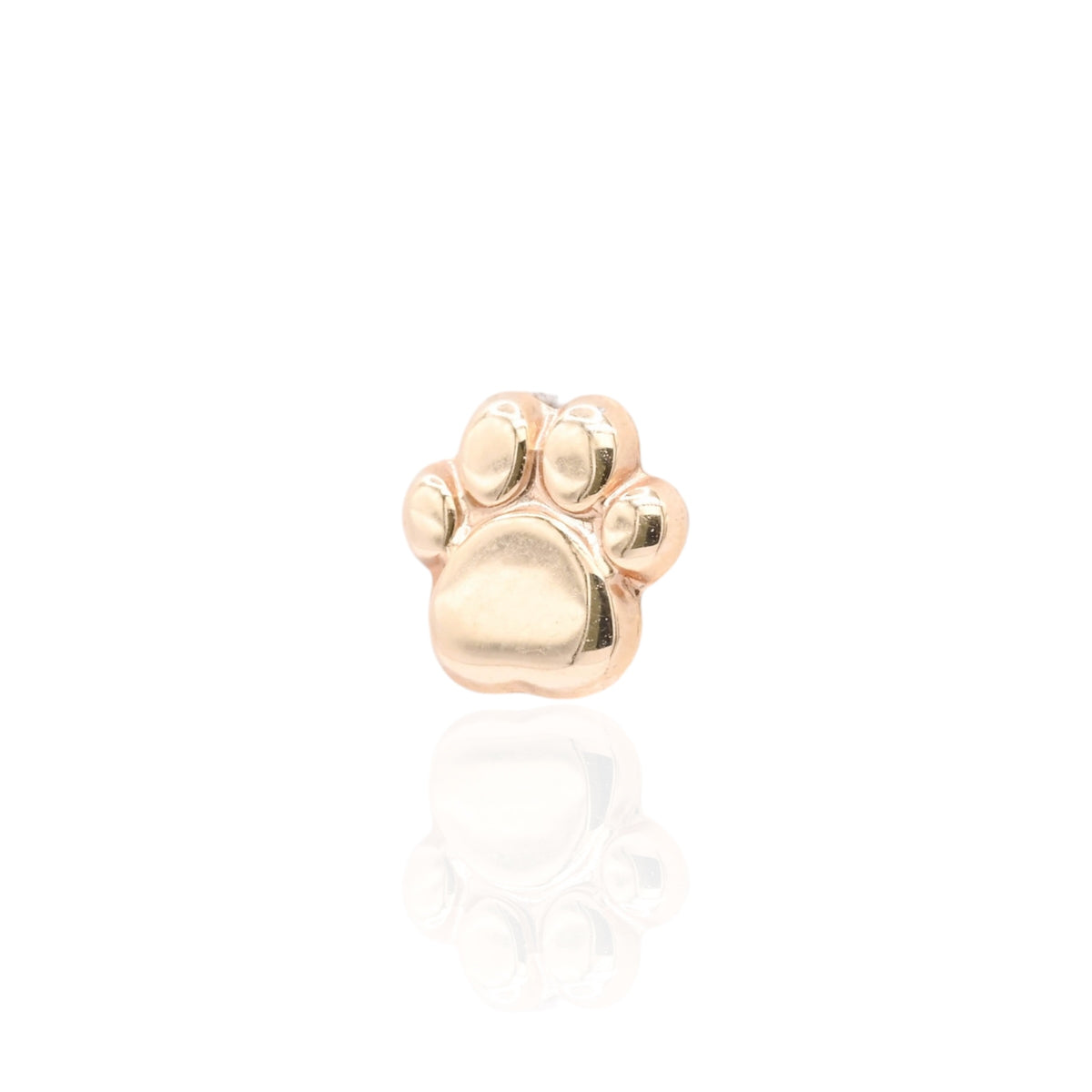 Lightweight Paw Print Stud Earrings 14K Yellow Gold