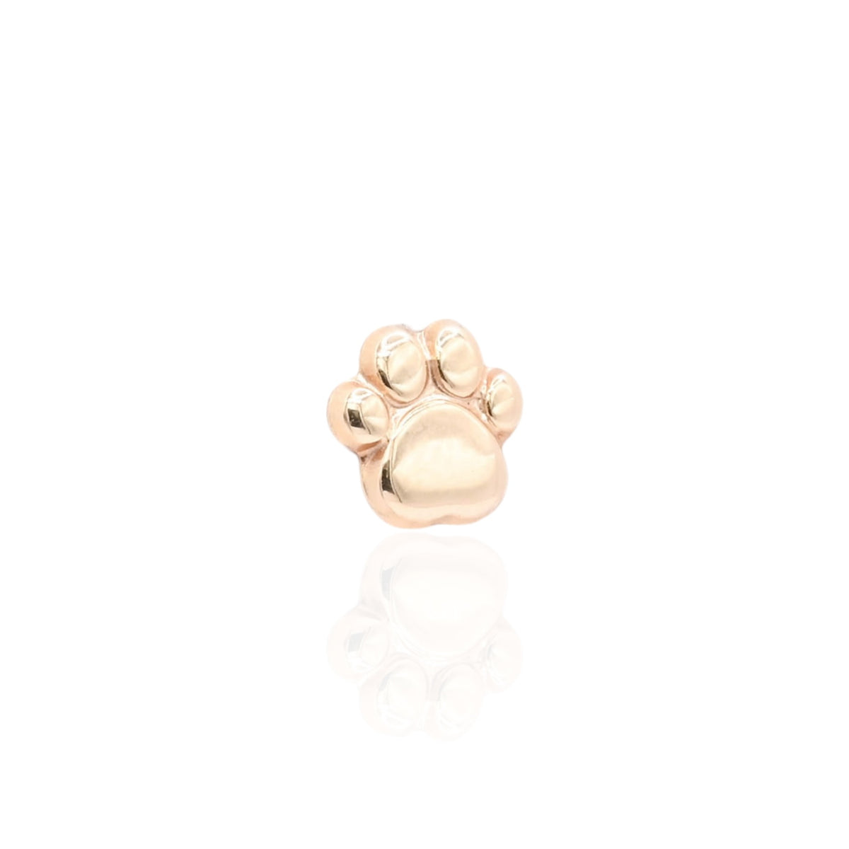 Lightweight Paw Print Stud Earrings 14K Yellow Gold