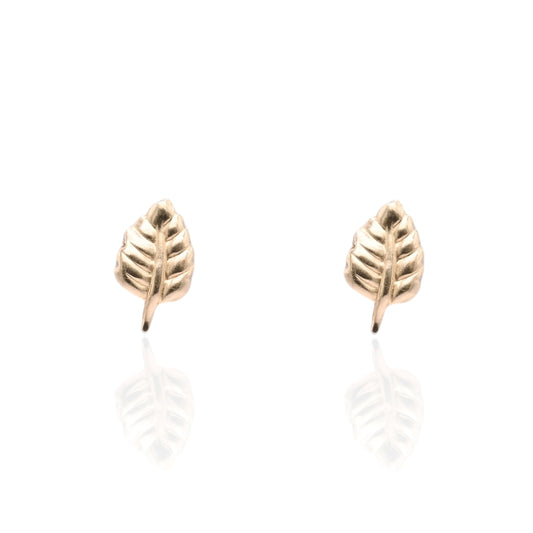 Lightweight Leaf Stud Earrings 14K Yellow Gold