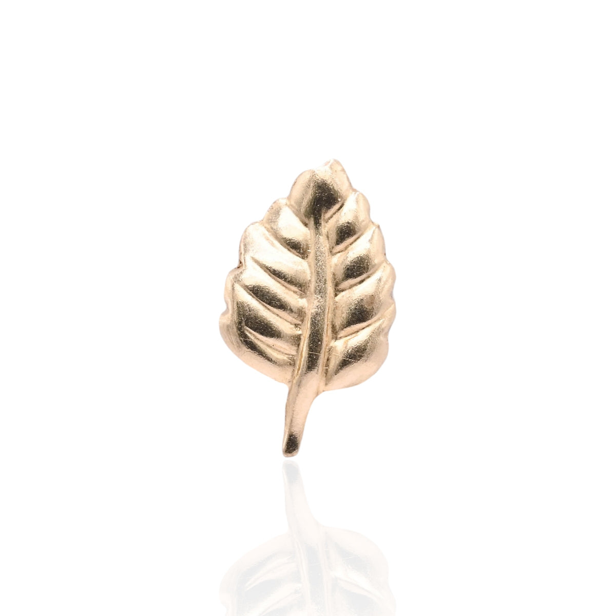 Lightweight Leaf Stud Earrings 14K Yellow Gold