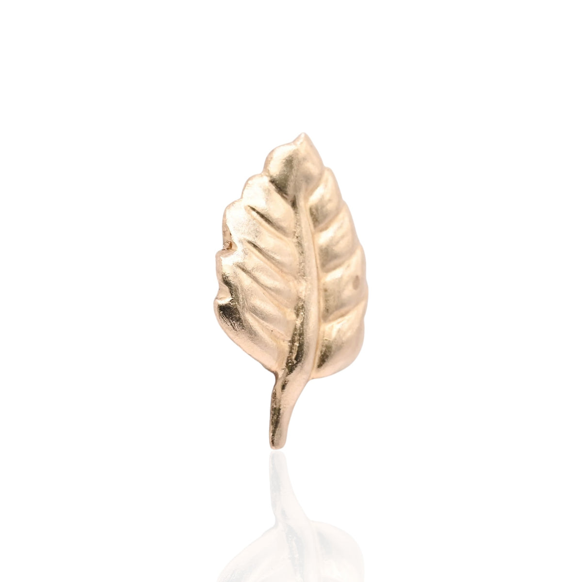 Lightweight Leaf Stud Earrings 14K Yellow Gold