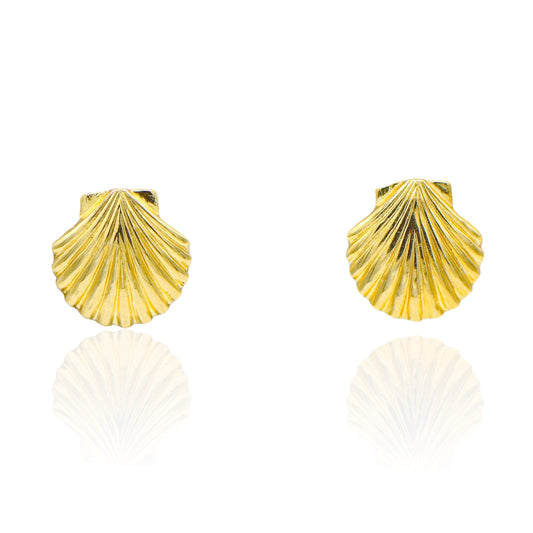 Dainty Shell Stud Earrings 14K Yellow Gold